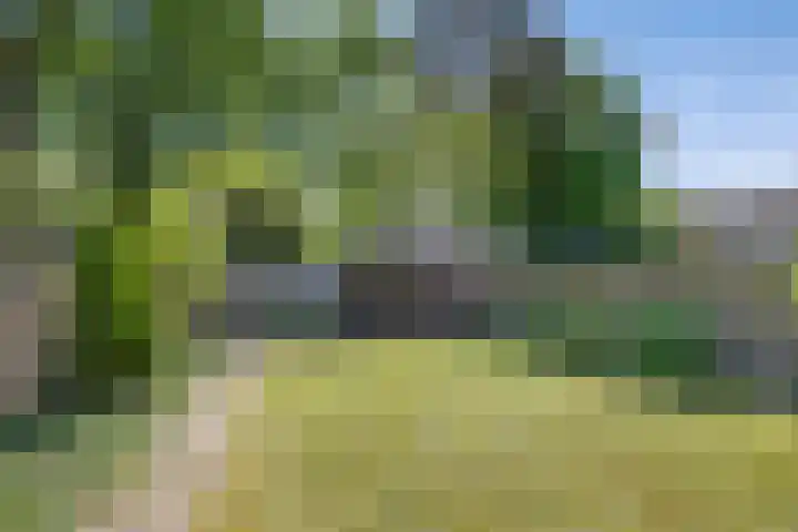 Kaarderhof 58 Helmond thumbnail 27