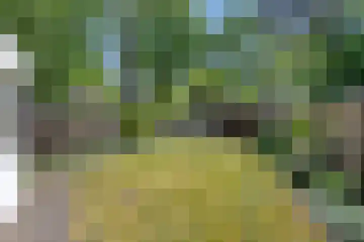 Kaarderhof 58 Helmond thumbnail 5