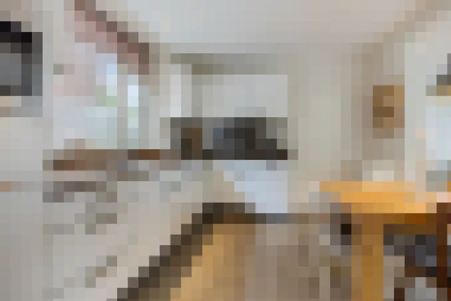 Kaarderstraat 21 Oss thumbnail 12