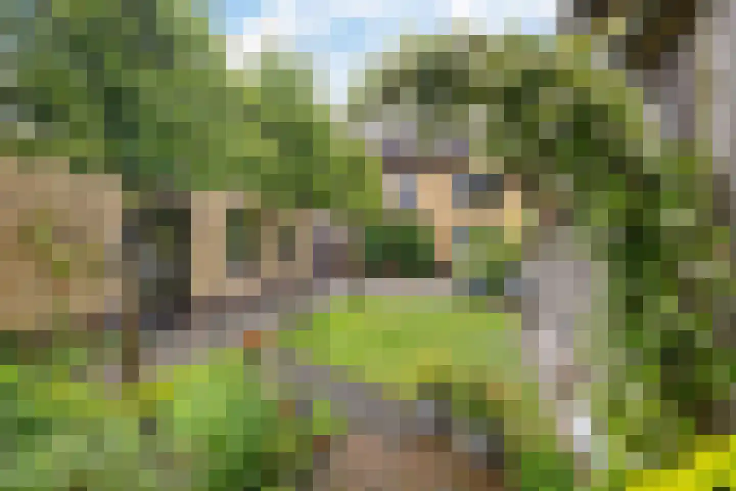 Kaarderstraat 21 Oss thumbnail 42