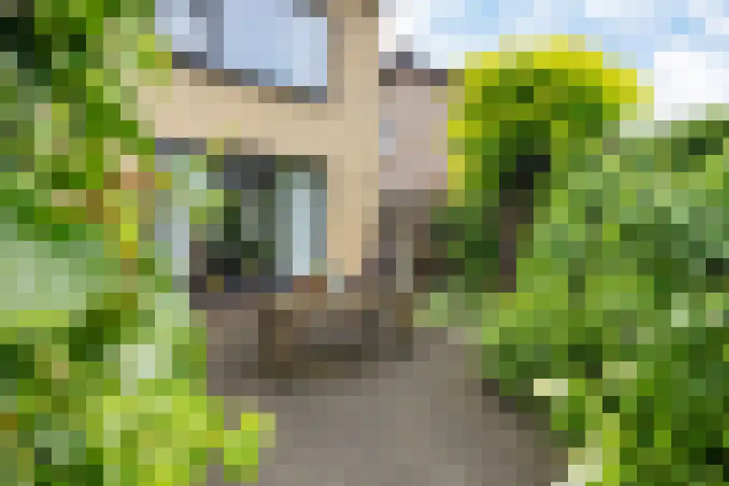 Kaarderstraat 21 Oss thumbnail 45