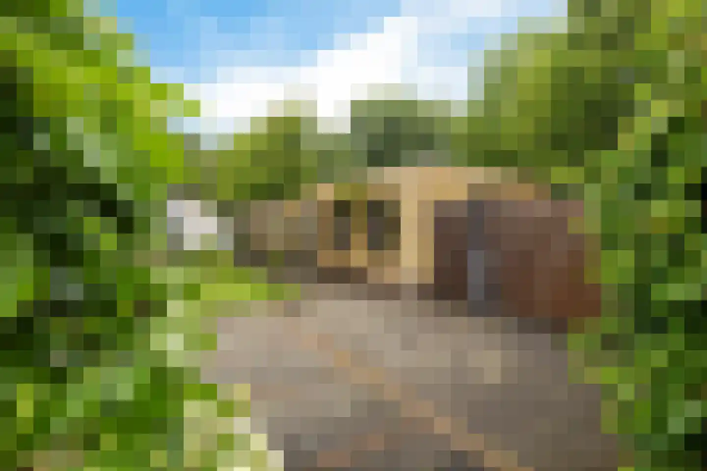 Kaarderstraat 21 Oss thumbnail 46