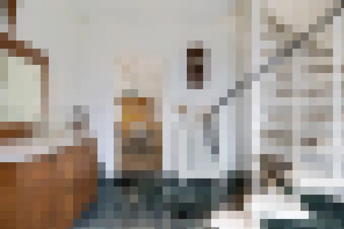 Kaarderstraat 21 Oss thumbnail 5