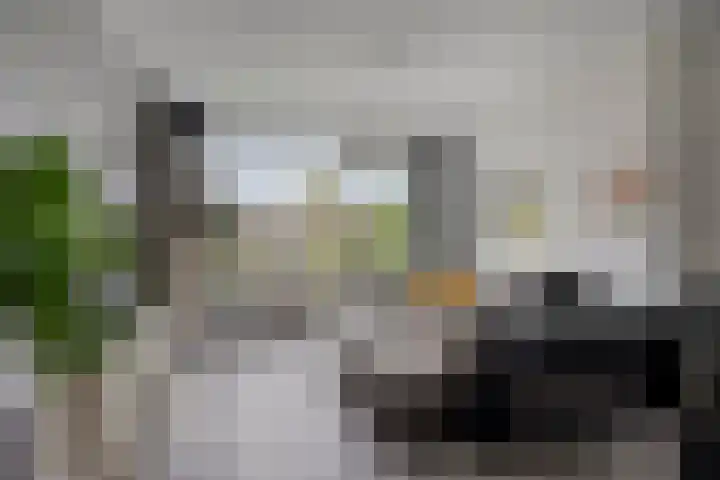 Kaarderstraat 24 Eindhoven thumbnail 17