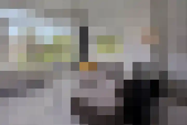 Kaarderstraat 24 Eindhoven thumbnail 18