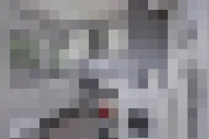 Kaarderstraat 24 Eindhoven thumbnail 20