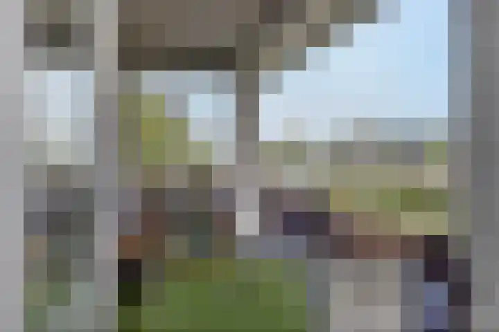 Kaarderstraat 24 Eindhoven thumbnail 4