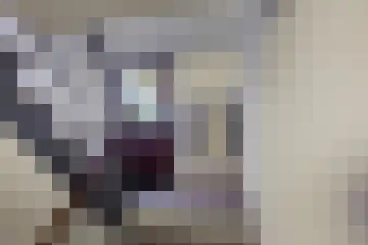 Kaarderstraat 24 Eindhoven thumbnail 5
