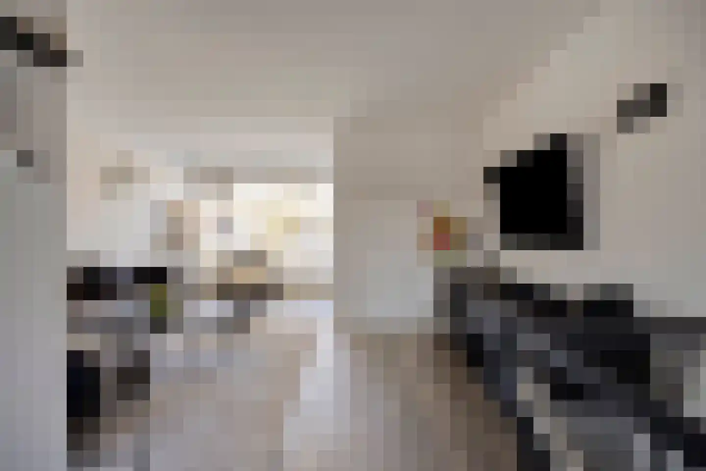 Kaarderstraat 28 Oss thumbnail 15