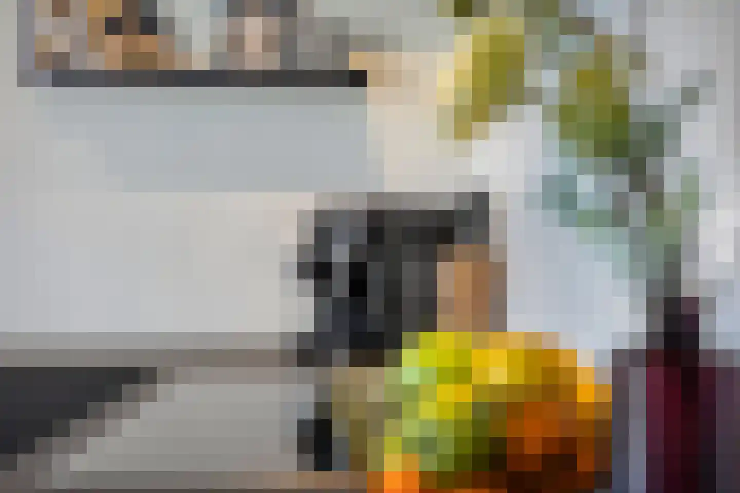 Kaarderstraat 28 Oss thumbnail 19