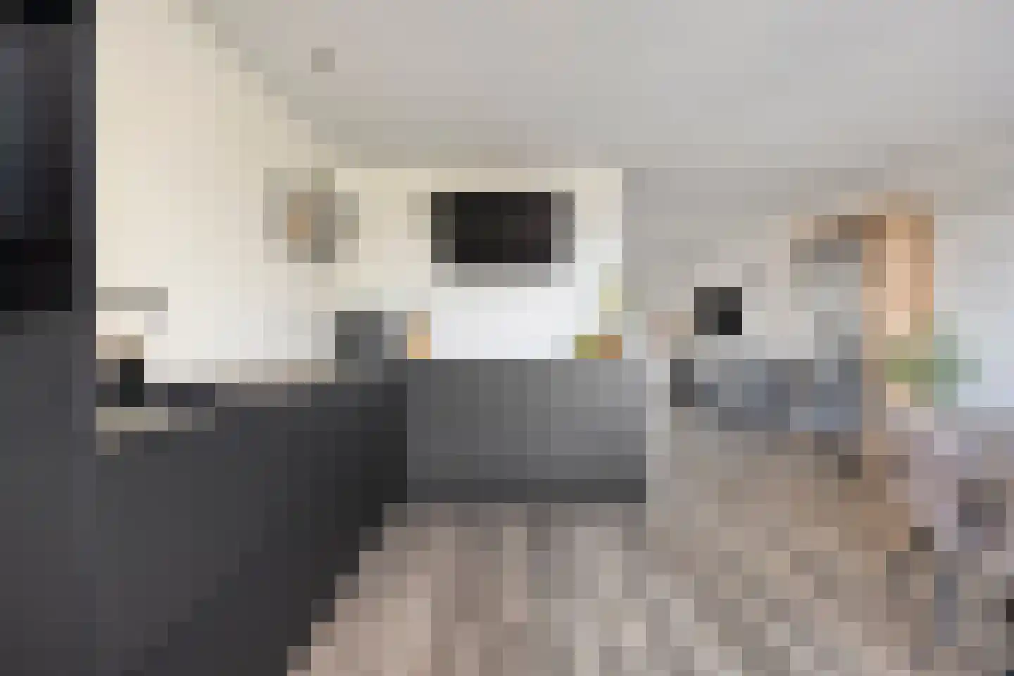 Kaarderstraat 28 Oss thumbnail 22