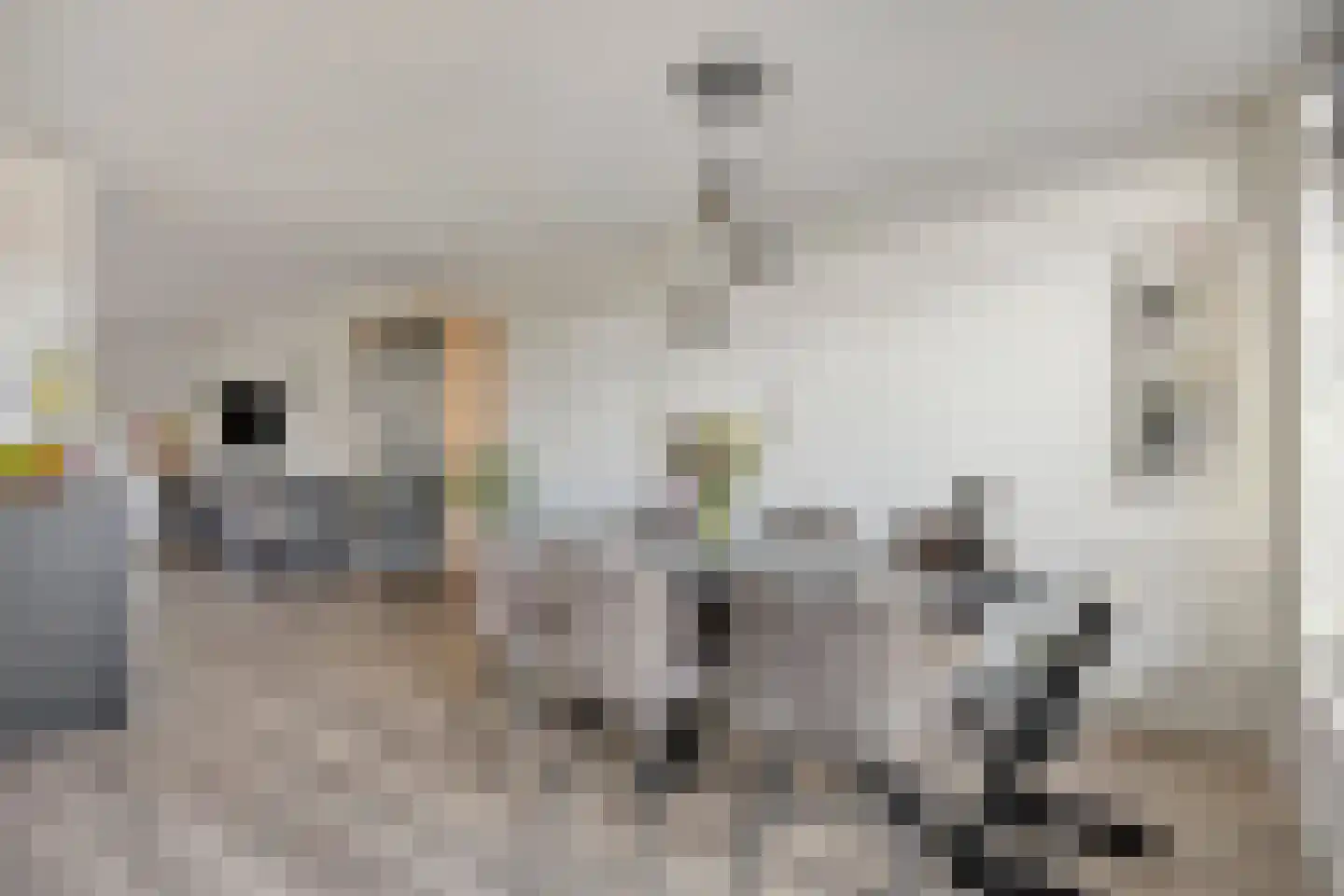 Kaarderstraat 28 Oss thumbnail 26