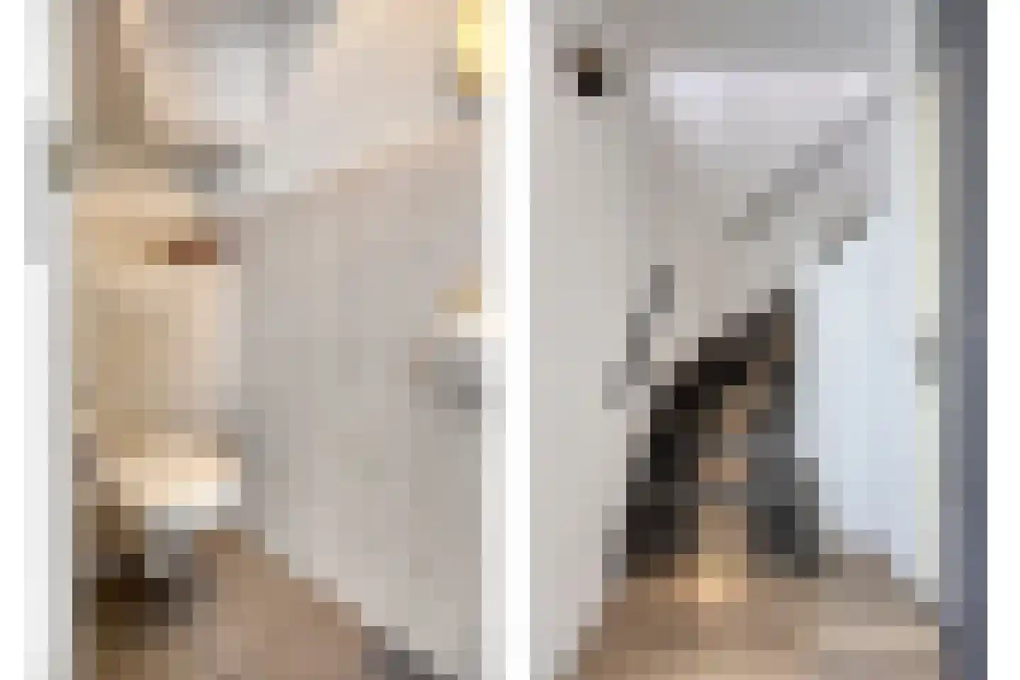 Kaarderstraat 28 Oss thumbnail 27