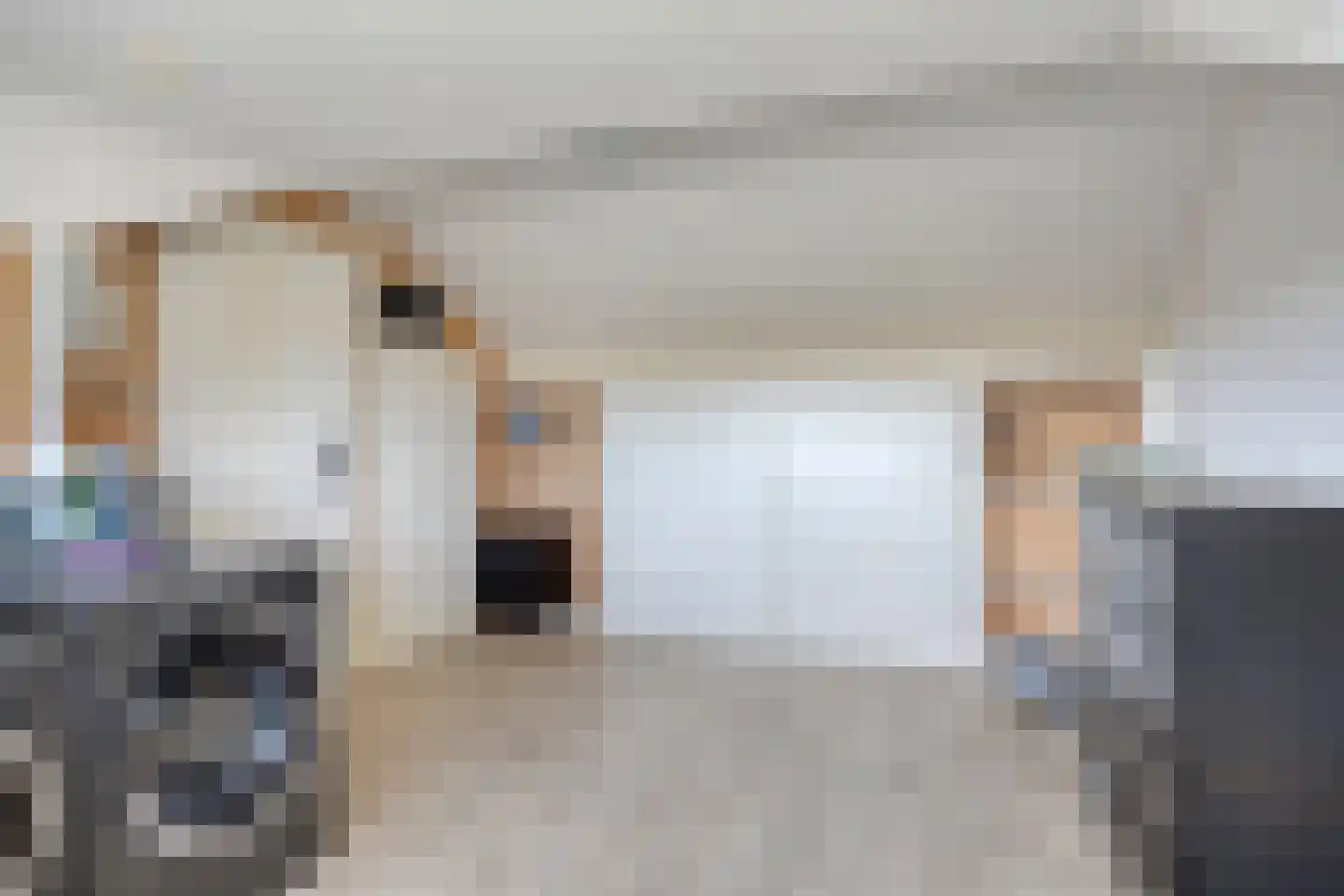 Kaarderstraat 28 Oss thumbnail 42