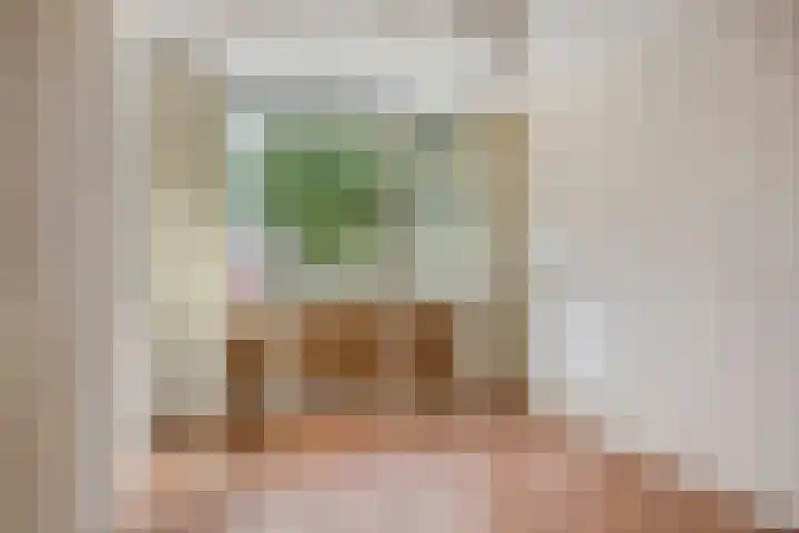 Kaarderstraat 38 Oss thumbnail 19