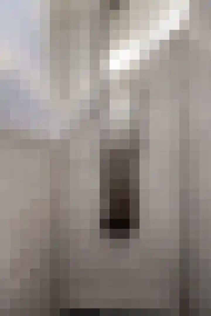 Kaarderstraat 38 Oss thumbnail 26