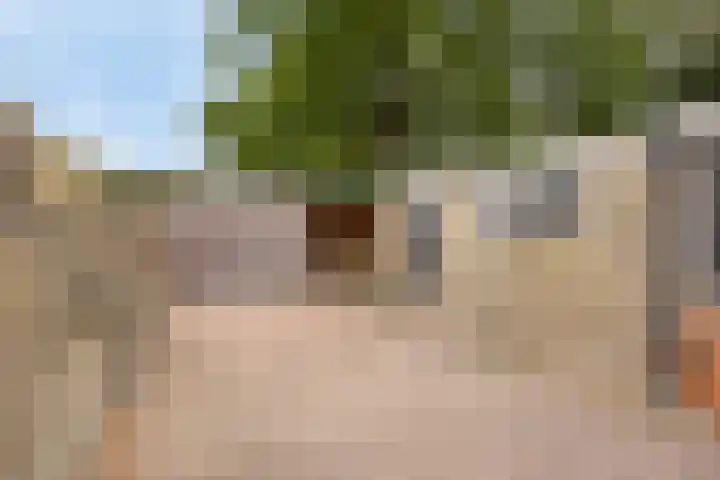 Kaarderstraat 38 Oss thumbnail 30