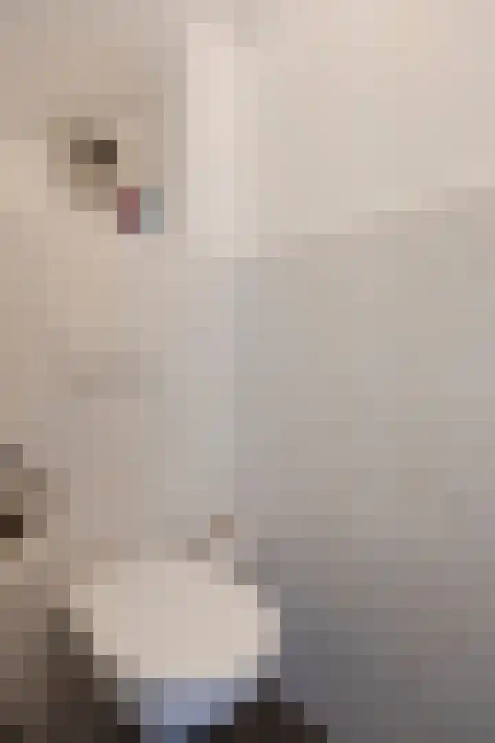 Kaarderstraat 38 Oss thumbnail 4