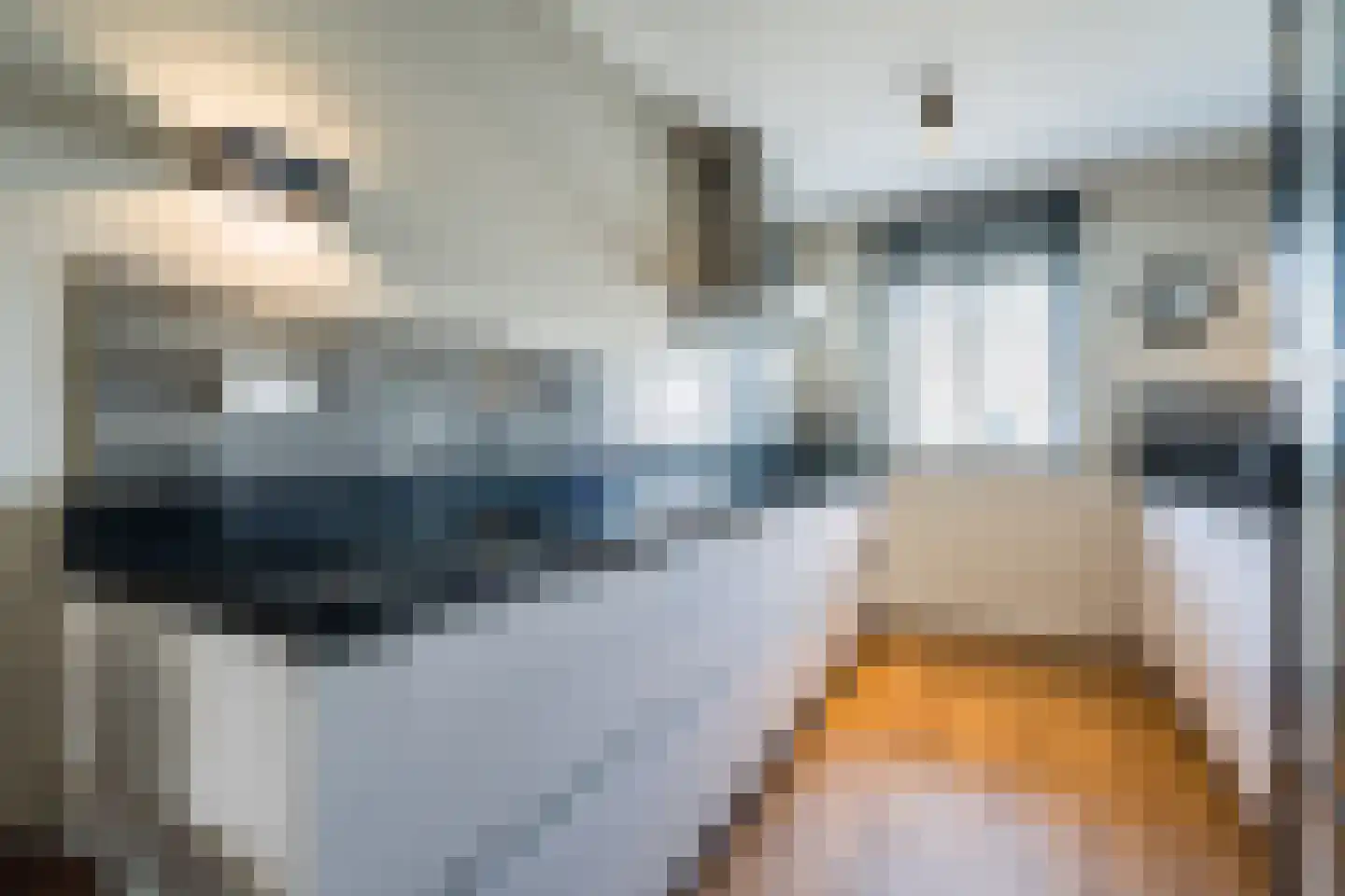 Kaarderstraat 8 Weert thumbnail 10