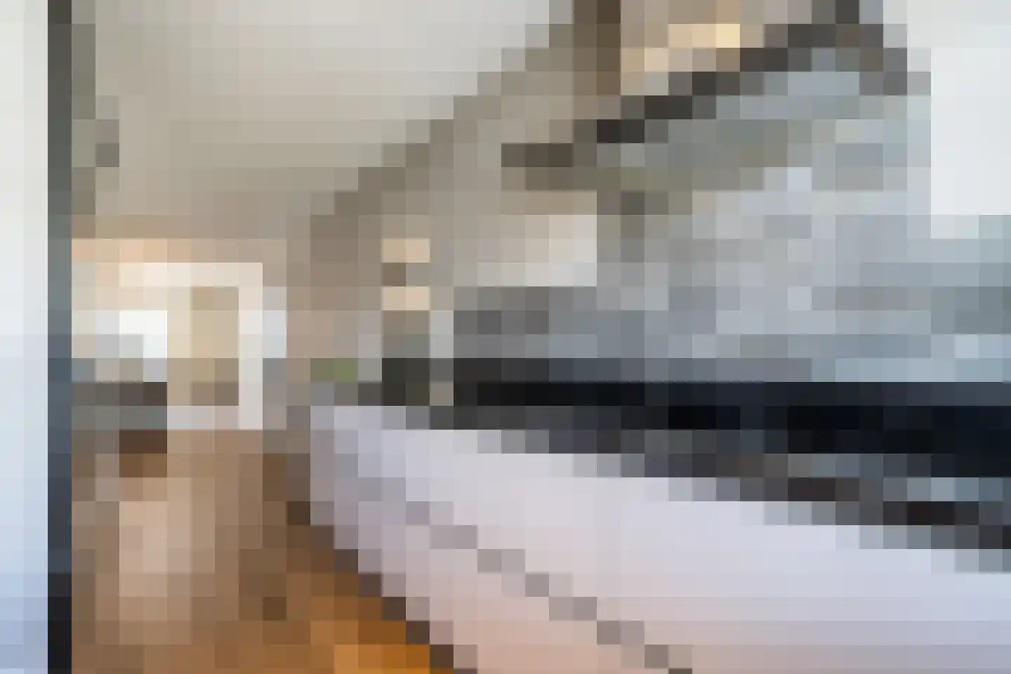 Kaarderstraat 8 Weert thumbnail 12