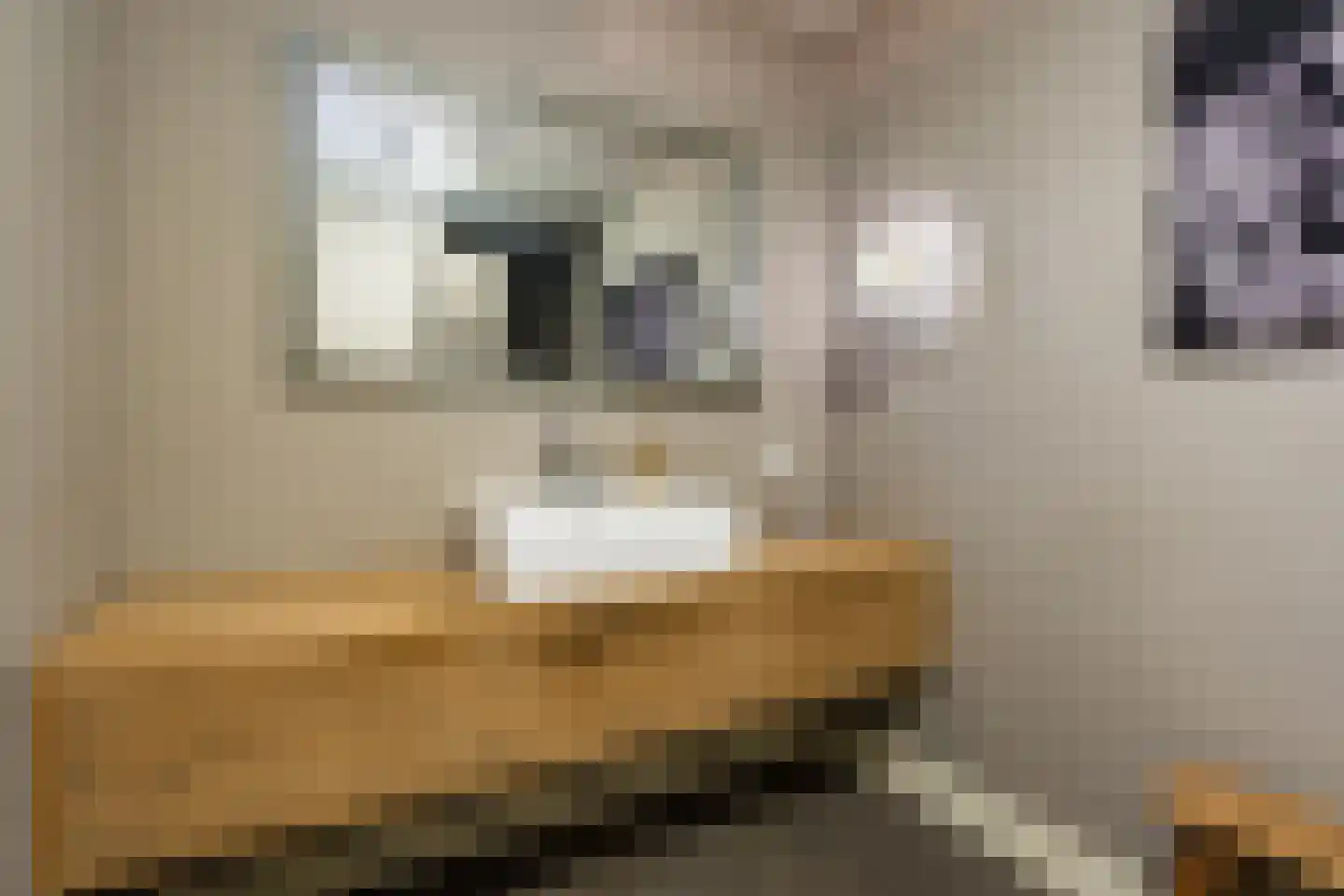 Kaarderstraat 8 Weert thumbnail 37