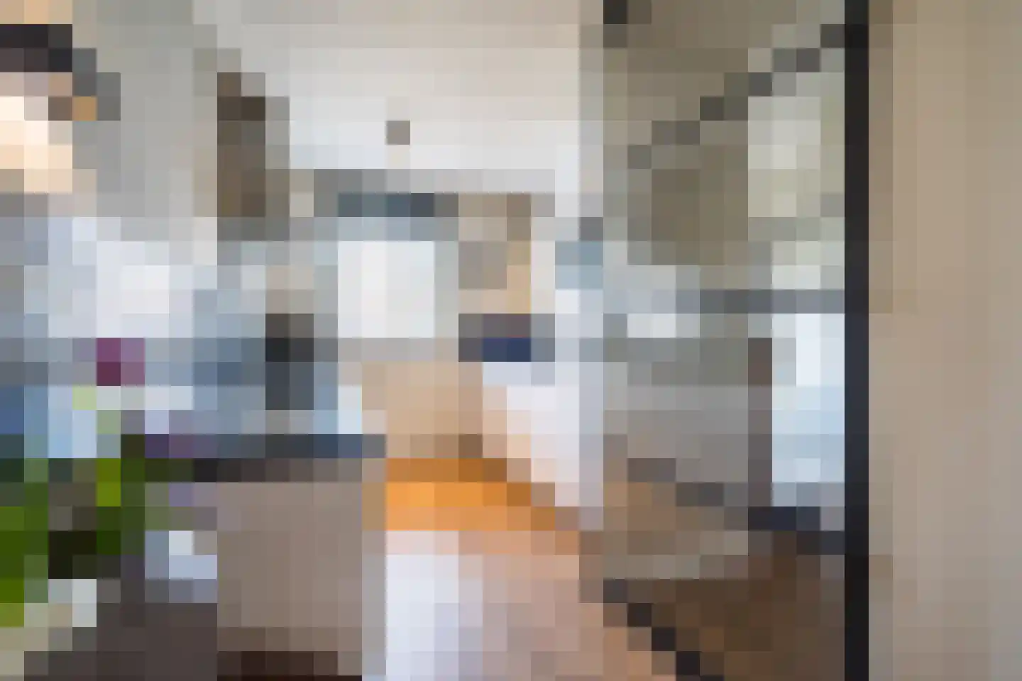 Kaarderstraat 8 Weert thumbnail 4