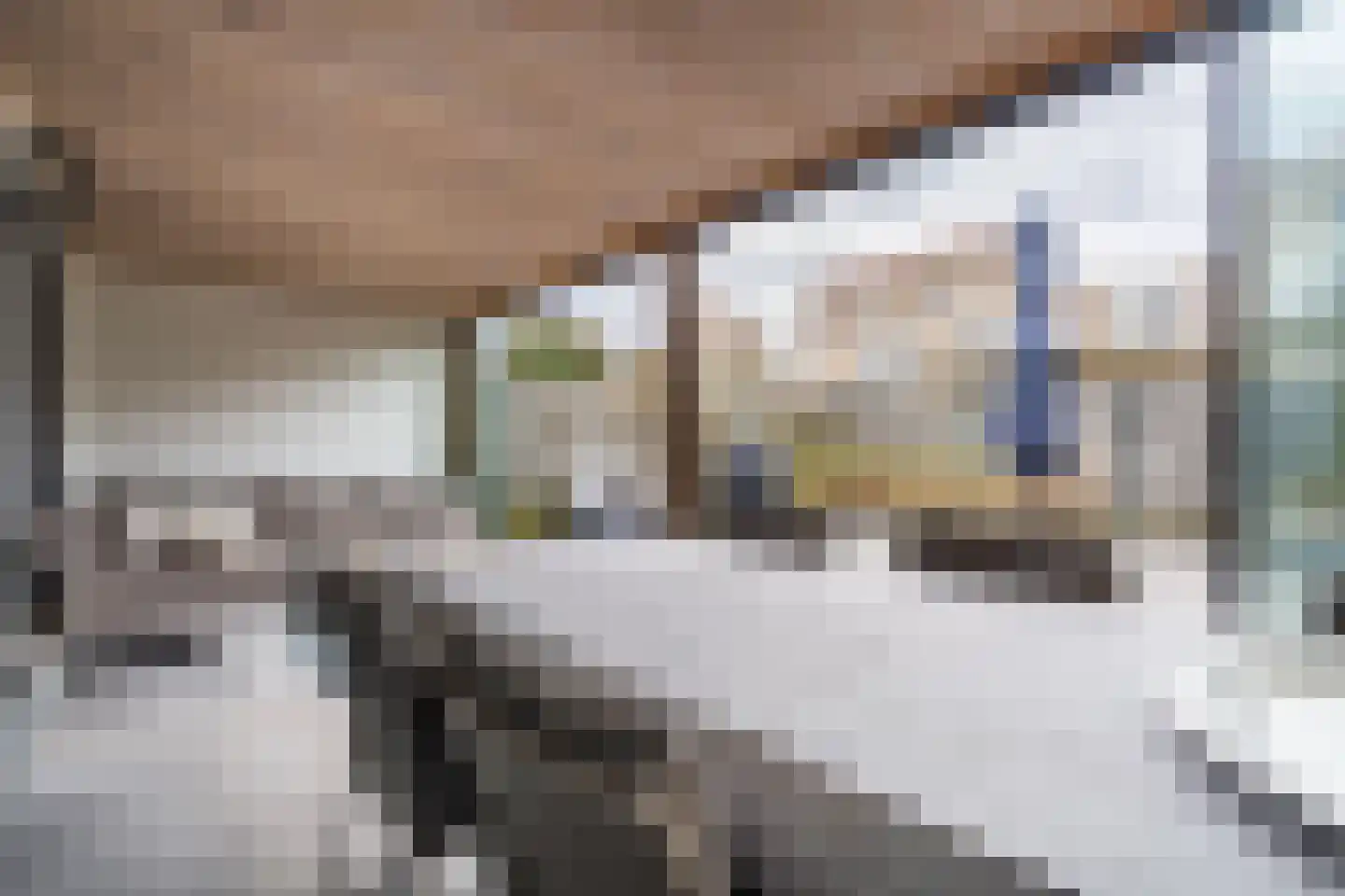 Kaarderstraat 8 Weert thumbnail 42