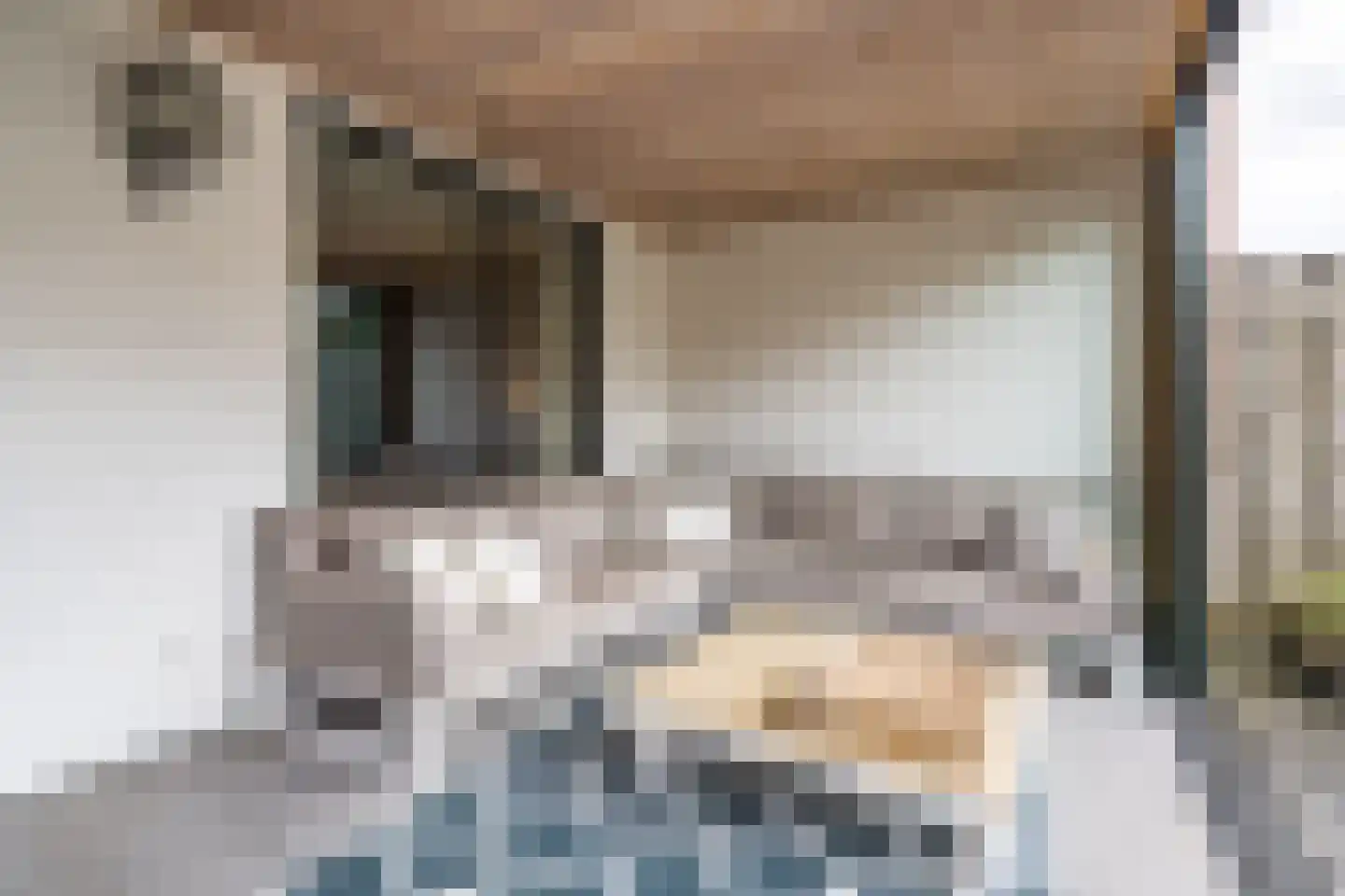 Kaarderstraat 8 Weert thumbnail 45