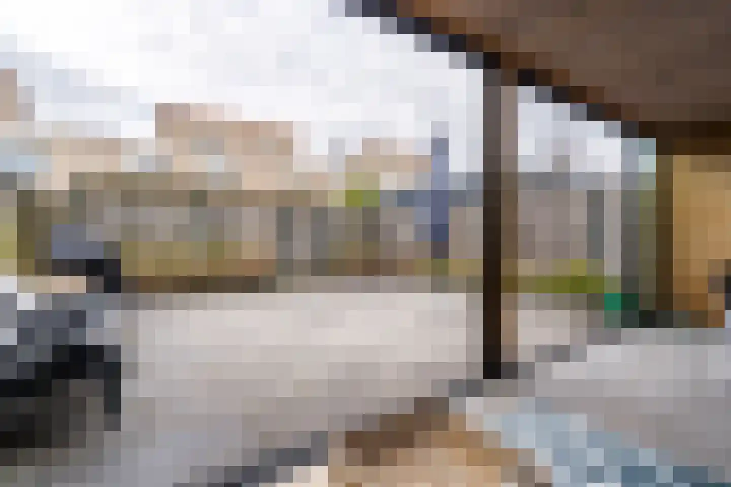 Kaarderstraat 8 Weert thumbnail 46