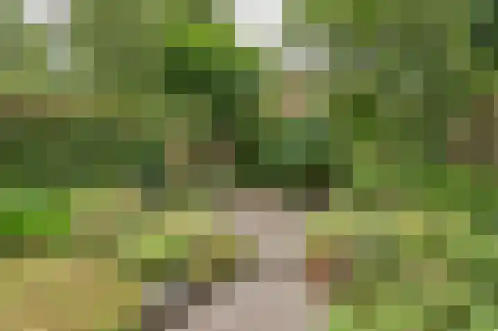 Kaarnheugte 21 Assen thumbnail 37