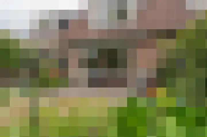 Kaarnheugte 21 Assen thumbnail 40