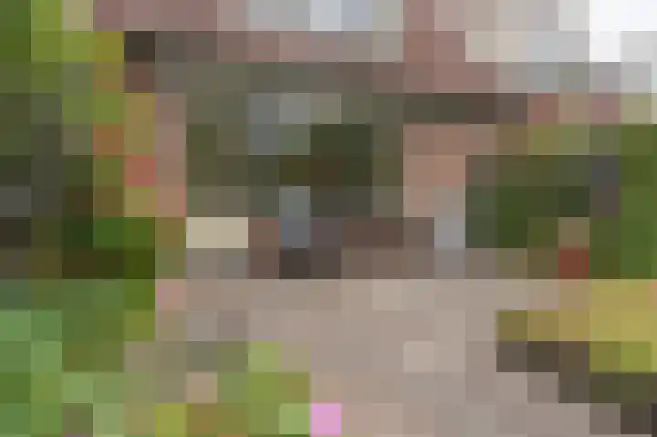 Kaarnheugte 21 Assen thumbnail 41
