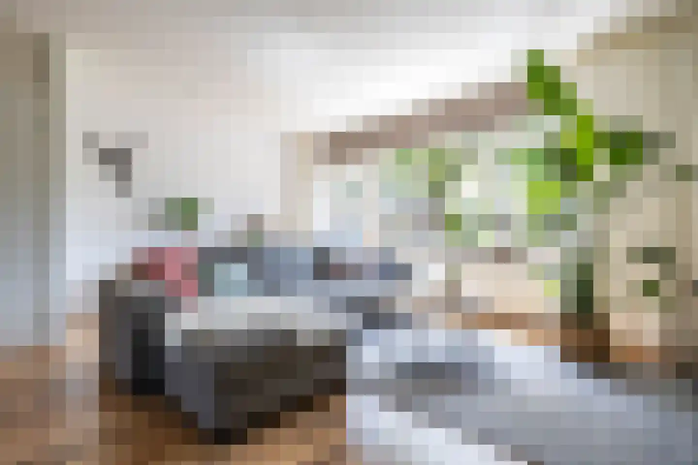 Kaarnheugte 3 Assen thumbnail 17