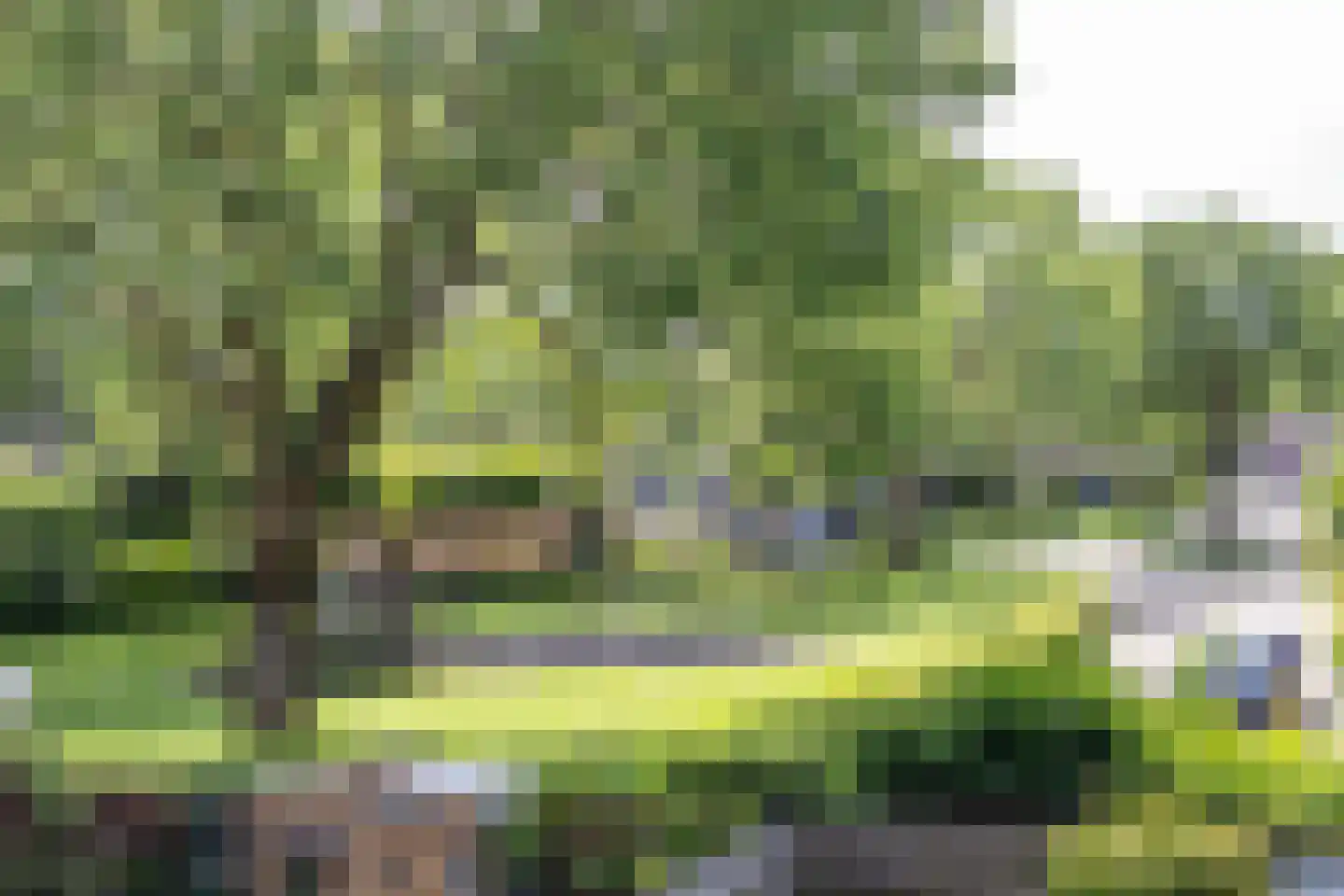 Kaarnheugte 3 Assen thumbnail 41