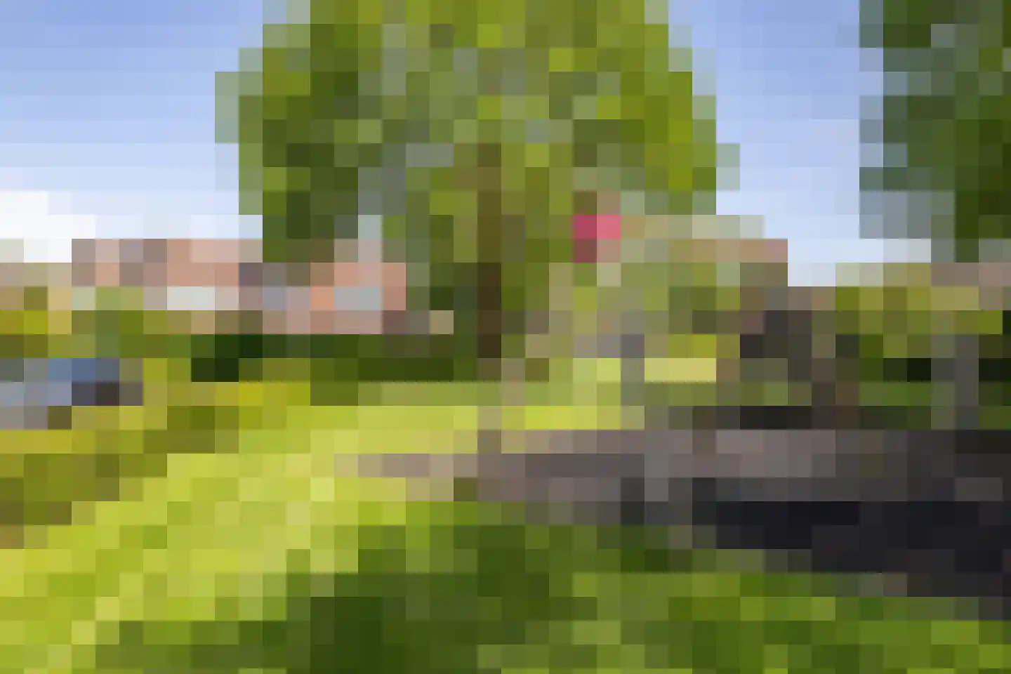 Kaarnheugte 3 Assen thumbnail 5