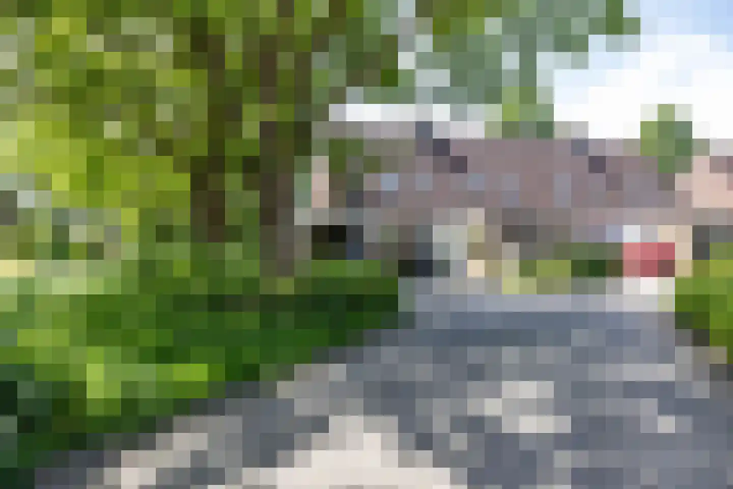 Kaarnheugte 3 Assen thumbnail 7
