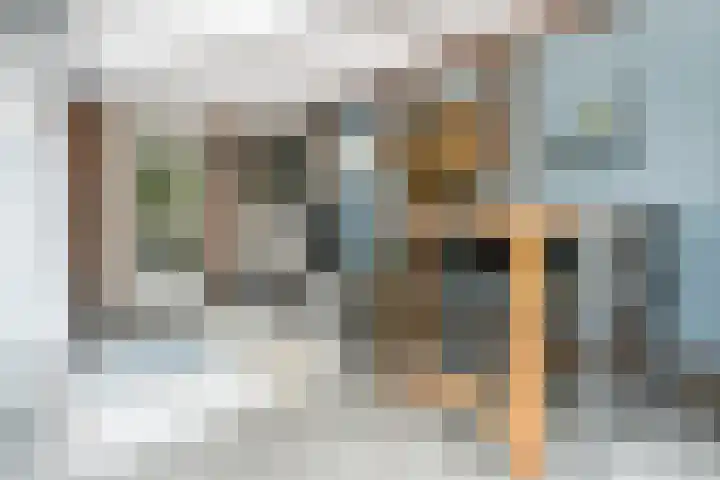 Kaarnheugte 30 Assen thumbnail 45