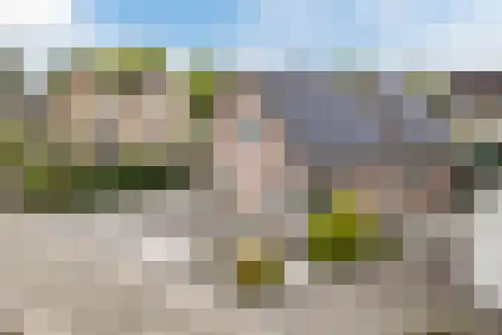 Kaarnheugte 30 Assen thumbnail 5
