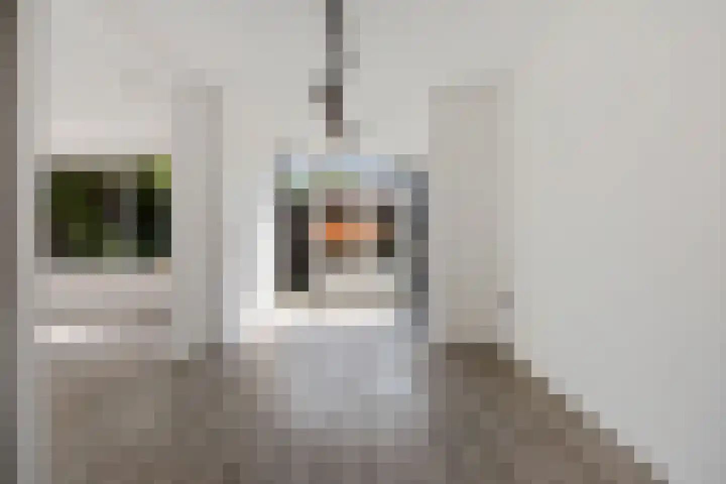 Kaarnheugte 43 Assen thumbnail 18