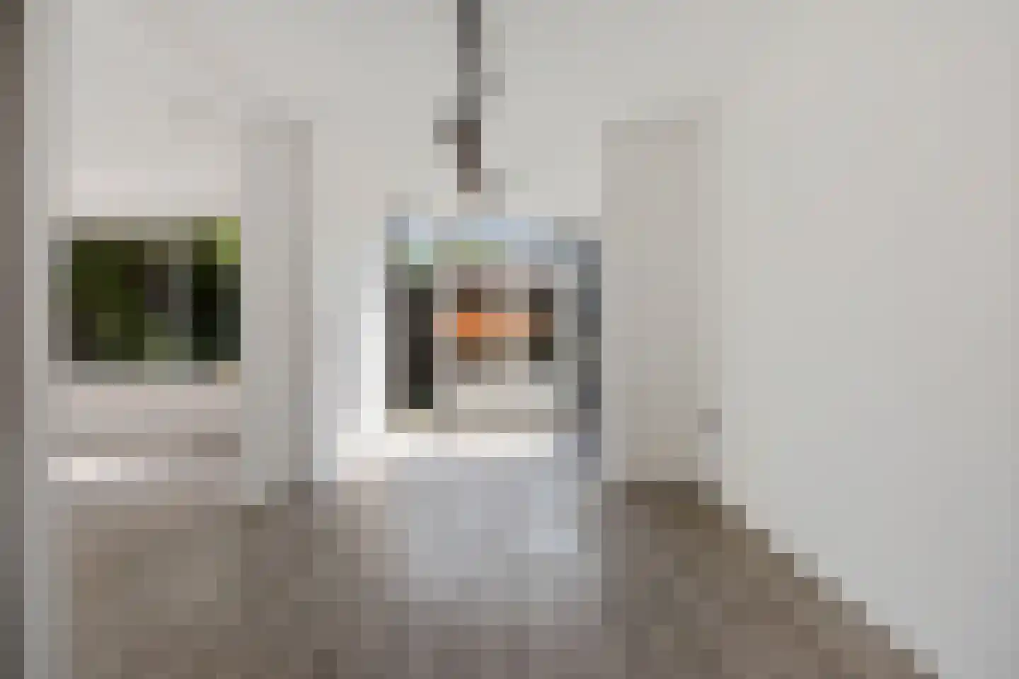 Kaarnheugte 43 Assen thumbnail 19