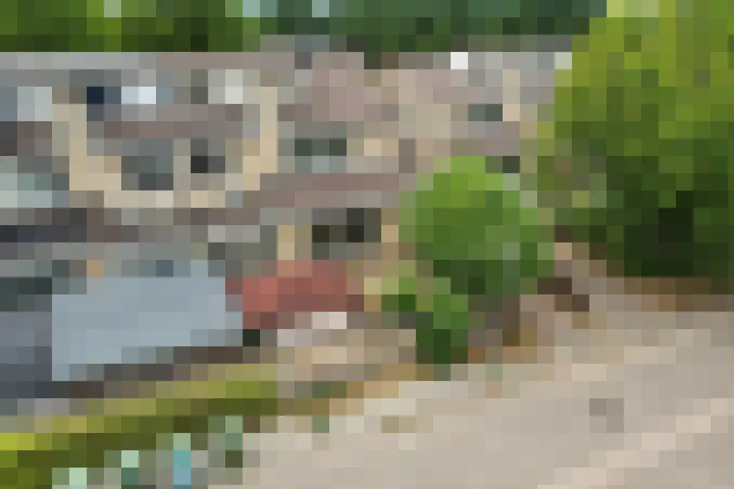 Kaarnheugte 43 Assen thumbnail 40