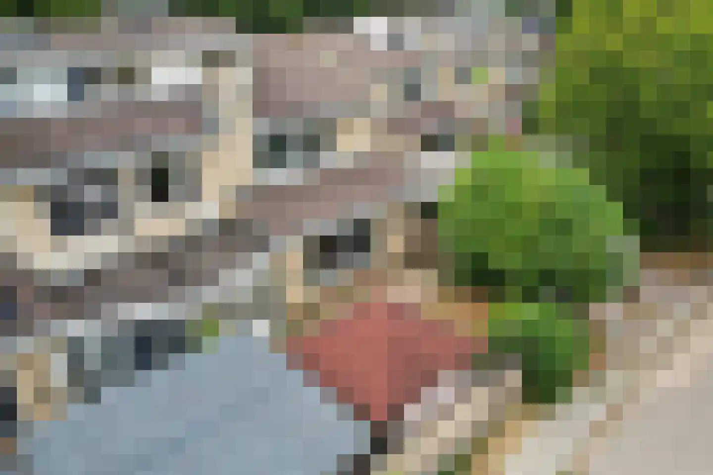 Kaarnheugte 43 Assen thumbnail 41