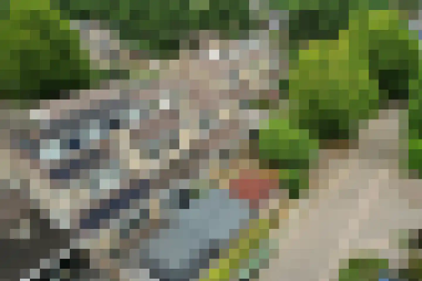 Kaarnheugte 43 Assen thumbnail 42