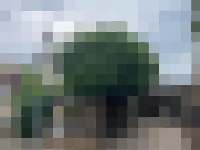 Kaarnheugte 43 Assen thumbnail 5