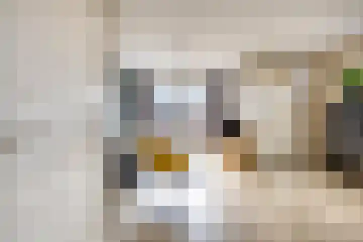 Kaarsenmaker 34 Oost West en Middelbeers thumbnail 11