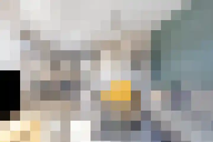 Kaarsenmaker 34 Oost West en Middelbeers thumbnail 12