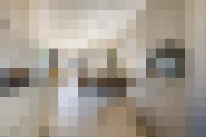 Kaarsenmaker 34 Oost West en Middelbeers thumbnail 22