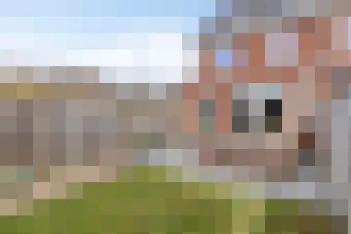 Kaarsenmaker 34 Oost West en Middelbeers thumbnail 40