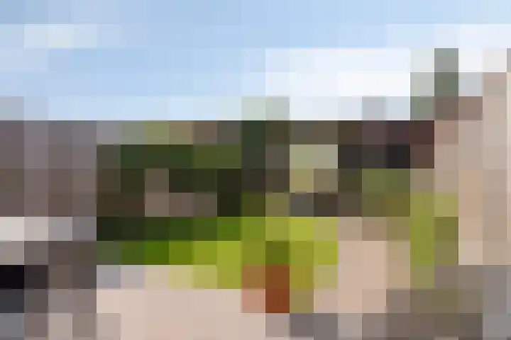 Kaarsenmaker 38 Oost West en Middelbeers thumbnail 29
