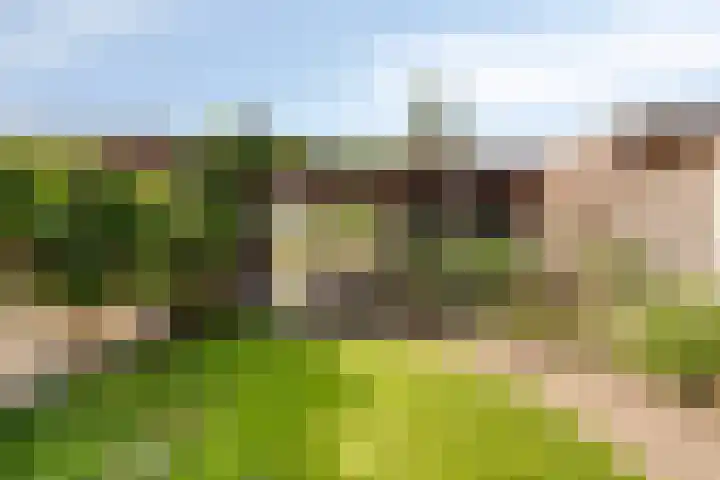 Kaarsenmaker 38 Oost West en Middelbeers thumbnail 31